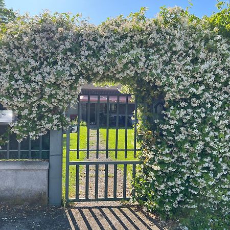 Garda Art&Garden Villa Volta Mantovana Eksteriør billede