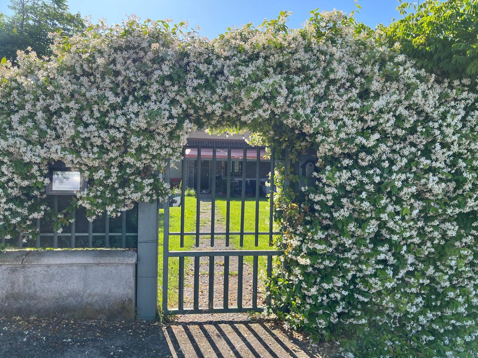 Garda Art&Garden Villa Volta Mantovana Eksteriør billede