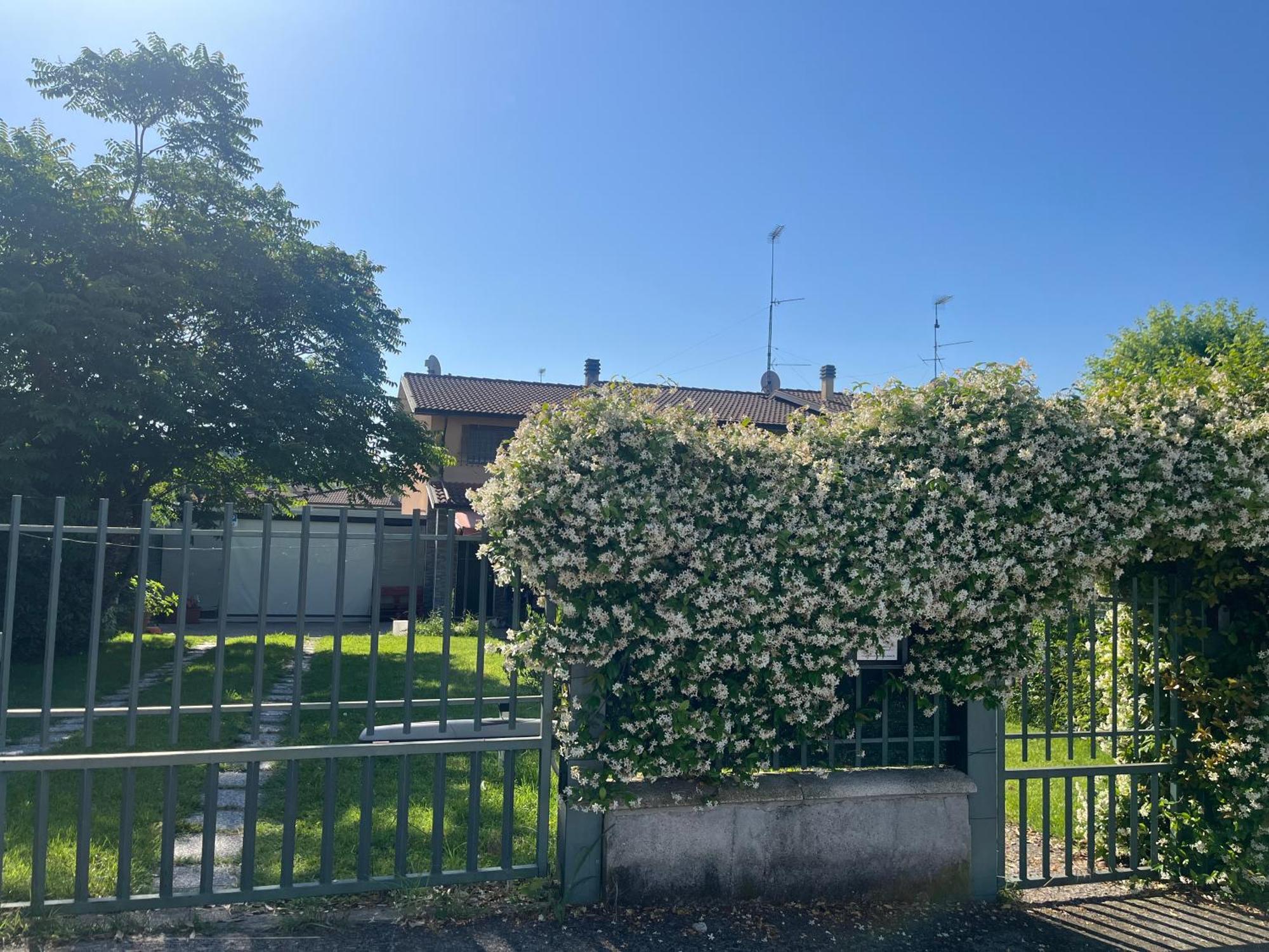 Garda Art&Garden Villa Volta Mantovana Eksteriør billede