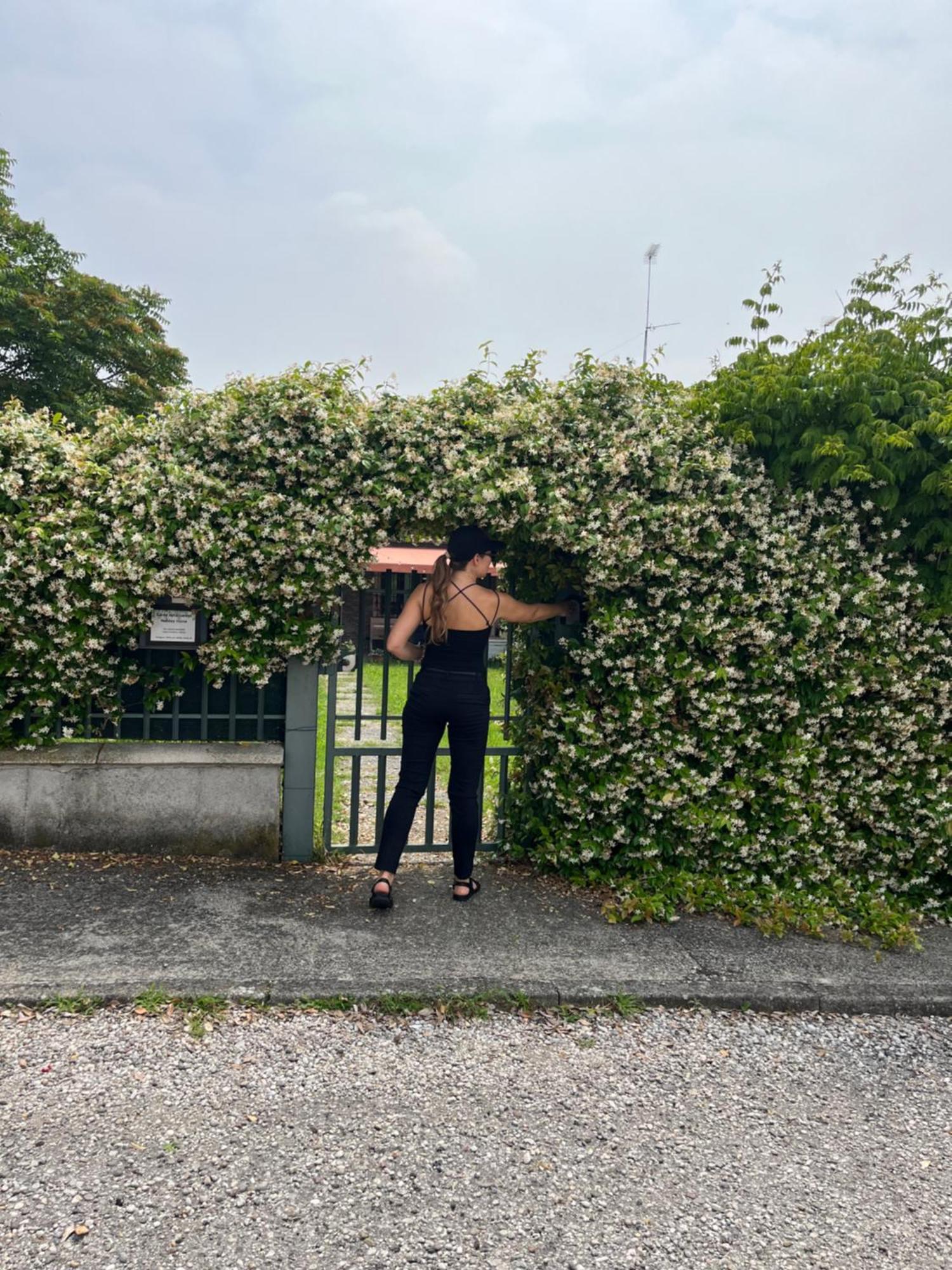 Garda Art&Garden Villa Volta Mantovana Eksteriør billede